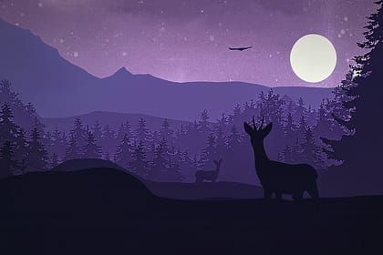 Paperworth Books Present Ochoche Agada’s Conversations With Midnight Paperworth Books Present Ochoche Agada’s Conversations With Midnight