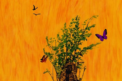 We Will Live Again review: Chukwuemeka Famous’ Haunting Portrait of Religion and Ruin We Will Live Again review: Chukwuemeka Famous’ Haunting Portrait of Religion and Ruin