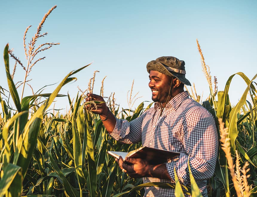 FamFarm is Using Smart Agritech Solutions to Empower Farmers FamFarm is Using Smart Agritech Solutions to Empower Farmers