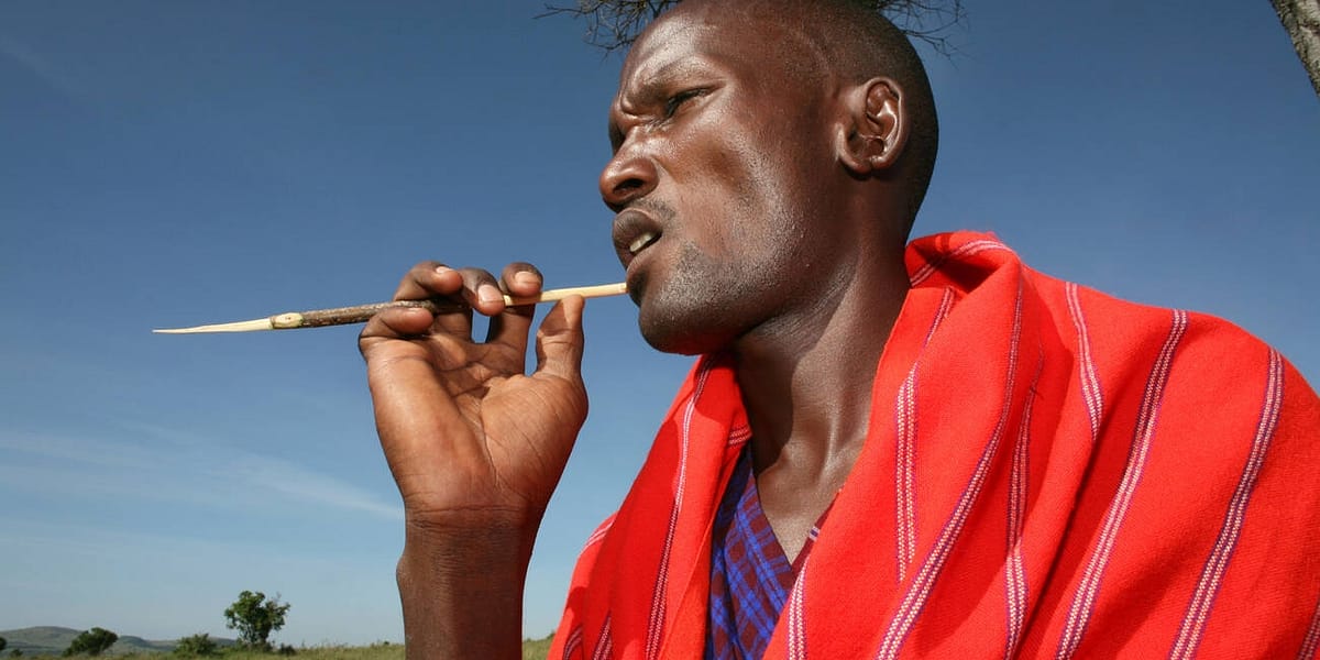 This is Why I Still Chew Sticks