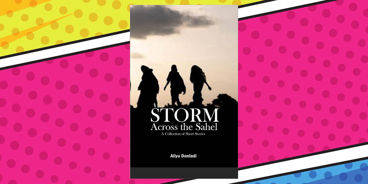 Storm Across The Sahel review — Revisiting the Aftermath of the Boko Haram Insurgency