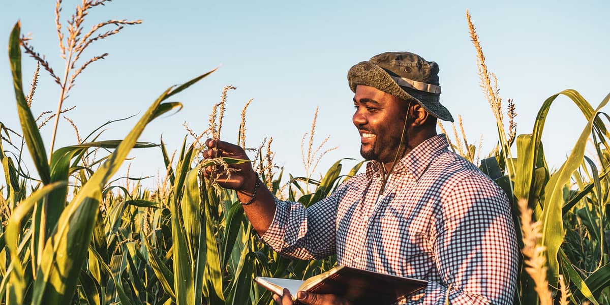 FamFarm is Using Smart Agritech Solutions to Empower Farmers