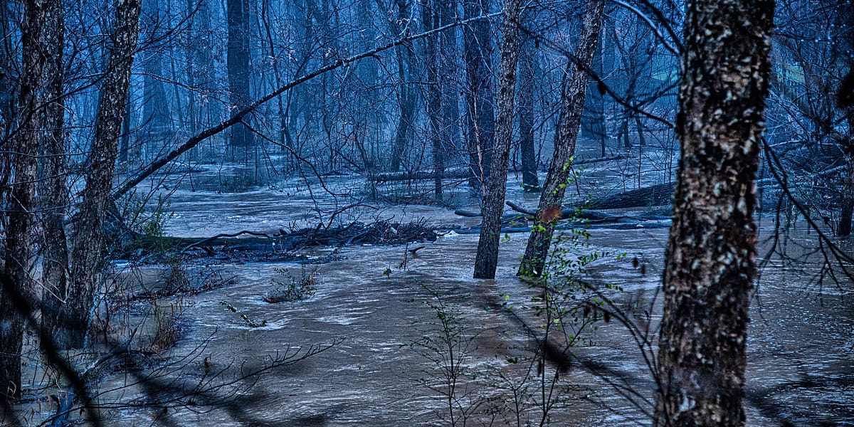 Trickles And Torrents