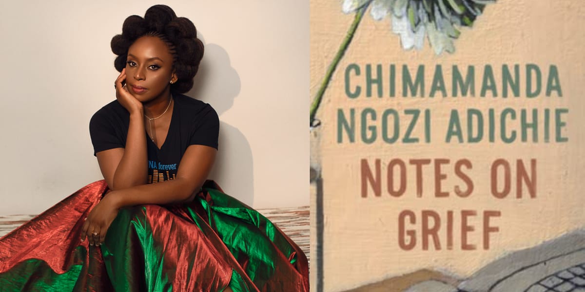 Chimamanda Ngozi Adichie’s “Notes on Grief” Shows Me that Grief is a Stranger