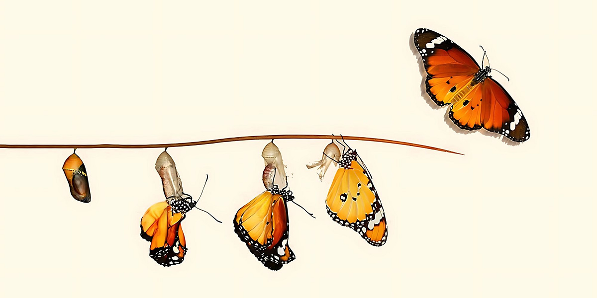 Drifting Cords review: Damilola Olaniyi Navigates Pleasure, Place, Memory, and Loneliness