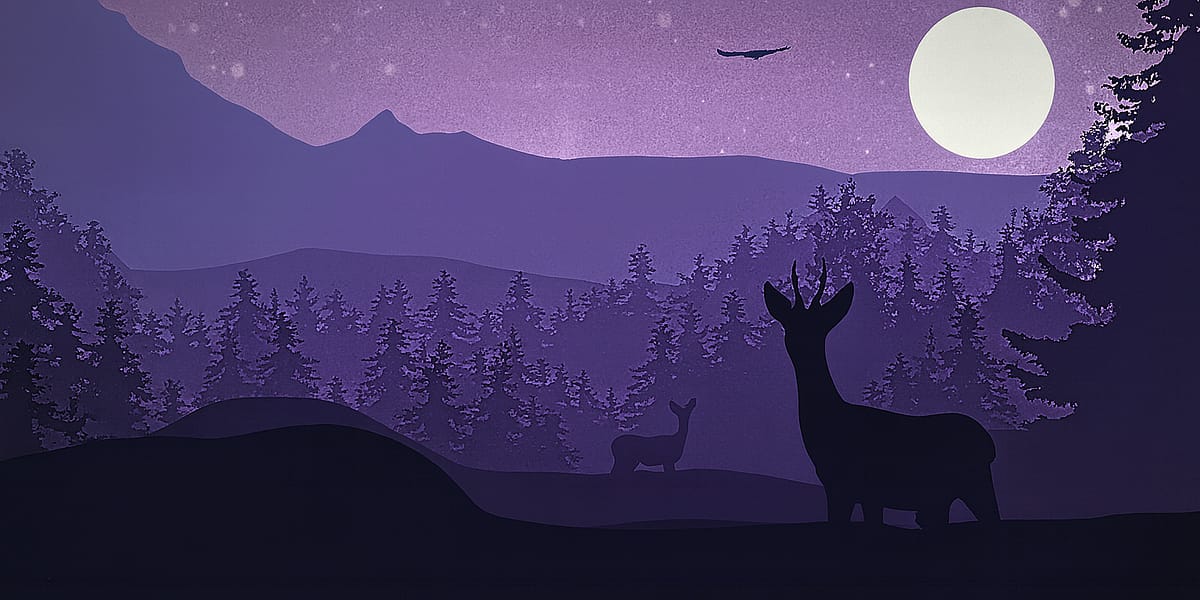 Paperworth Books Present Ochoche Agada’s Conversations With Midnight