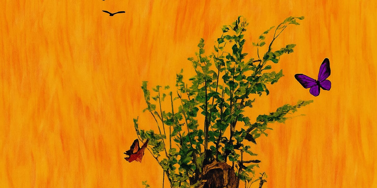 We Will Live Again review: Chukwuemeka Famous’ Haunting Portrait of Religion and Ruin