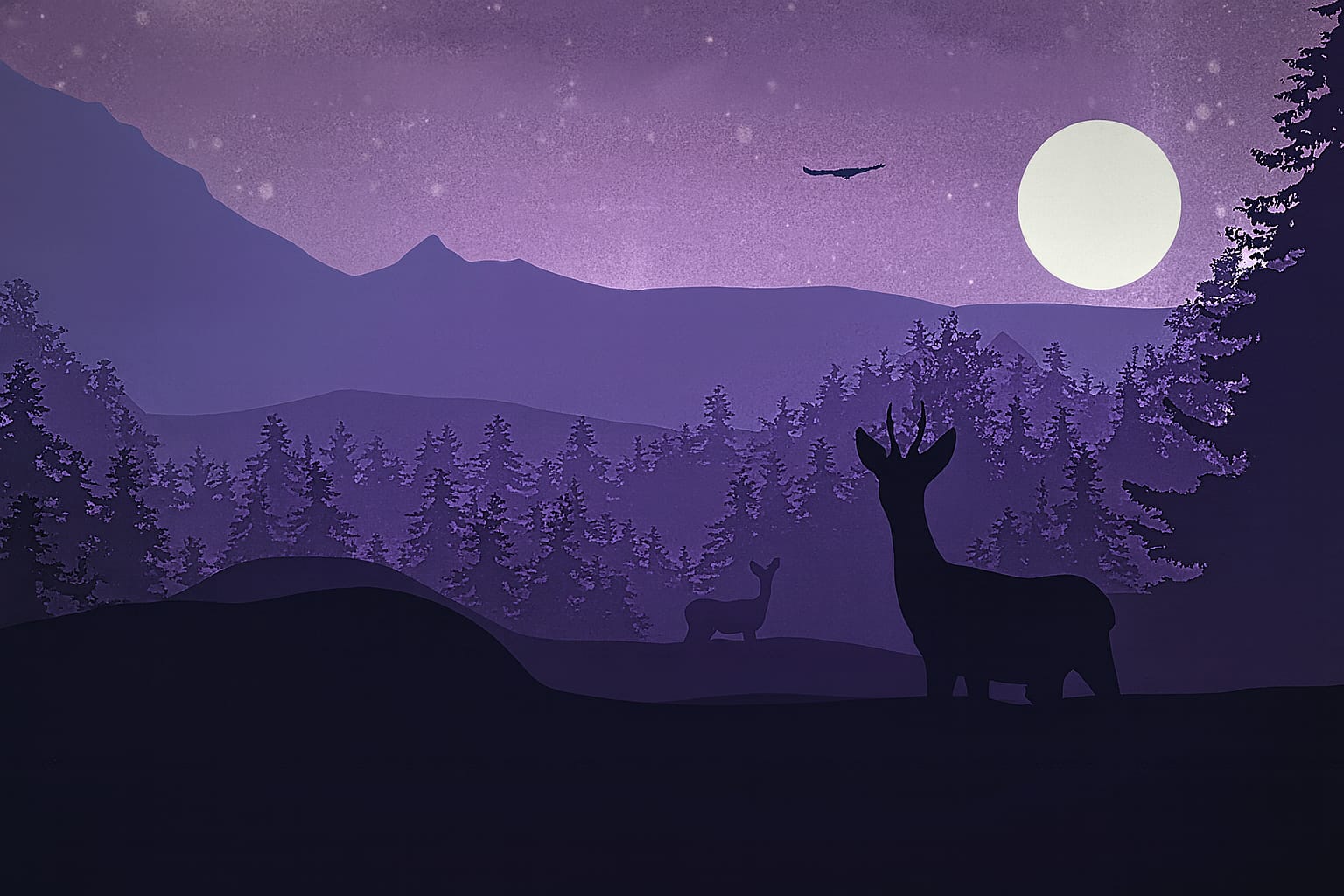 Paperworth Books Present Ochoche Agada’s Conversations With Midnight