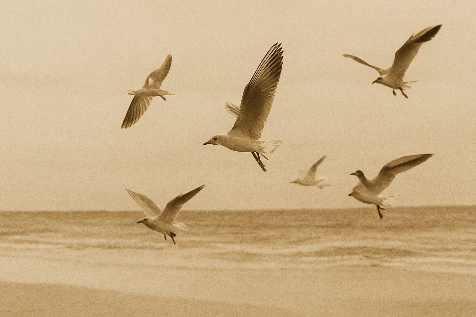 A First Look at Tobi Aluko’s Seagulls and Seashells