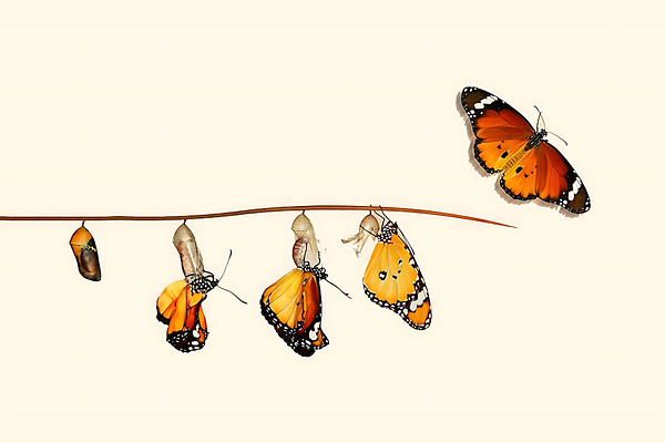 Drifting Cords review: Damilola Olaniyi Navigates Pleasure, Place, Memory, and Loneliness