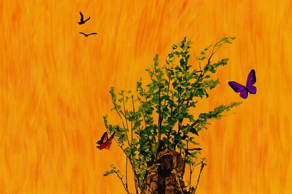 We Will Live Again review: Chukwuemeka Famous’ Haunting Portrait of Religion and Ruin