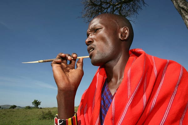 This is Why I Still Chew Sticks