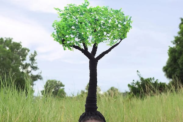 Laetitia Ky’s Metamorphosis Hair Sculpture Series: A Celebration of Nature and Black Beauty
