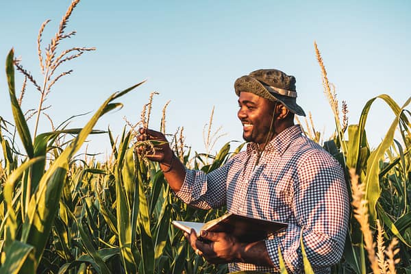 FamFarm is Using Smart Agritech Solutions to Empower Farmers