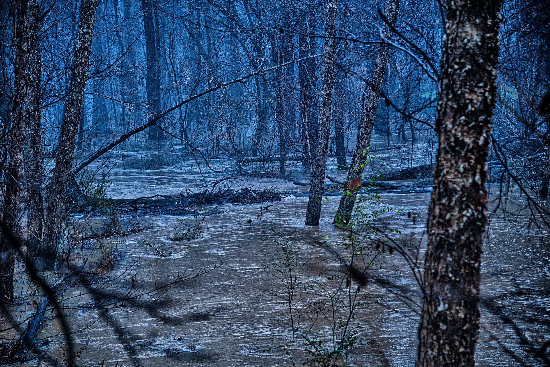 Trickles And Torrents Trickles And Torrents