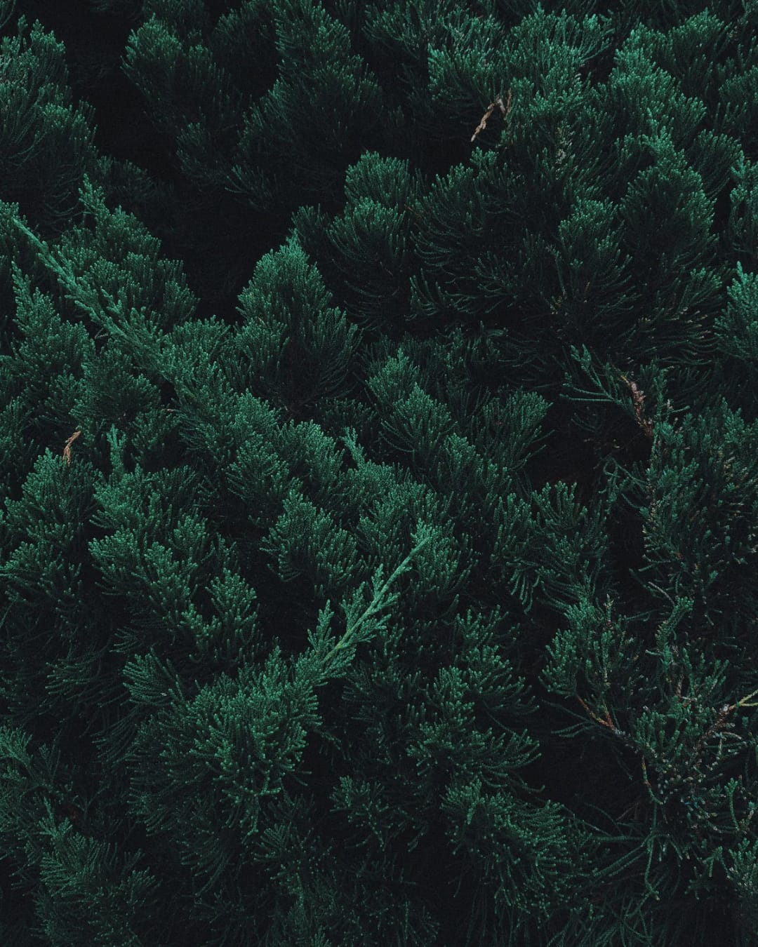 Straits… Straits…