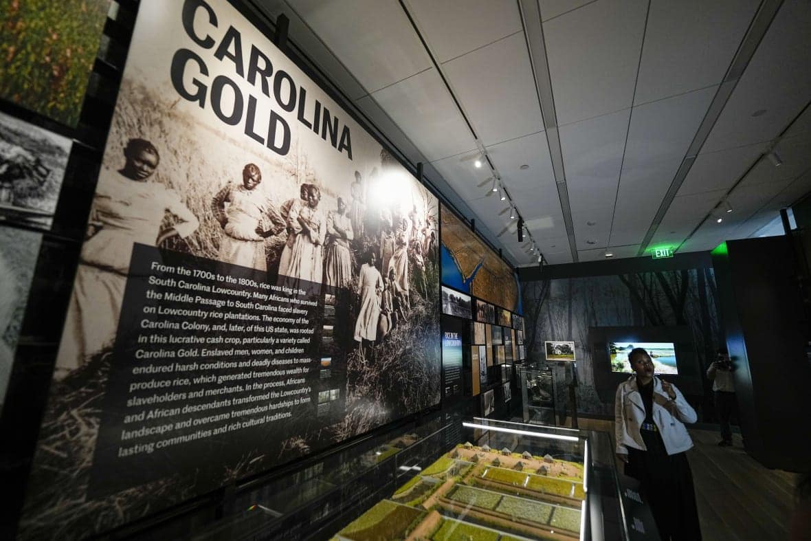 International African American Museum opens in Charleston to Celebrate African American History International African American Museum opens in Charleston to Celebrate African American History