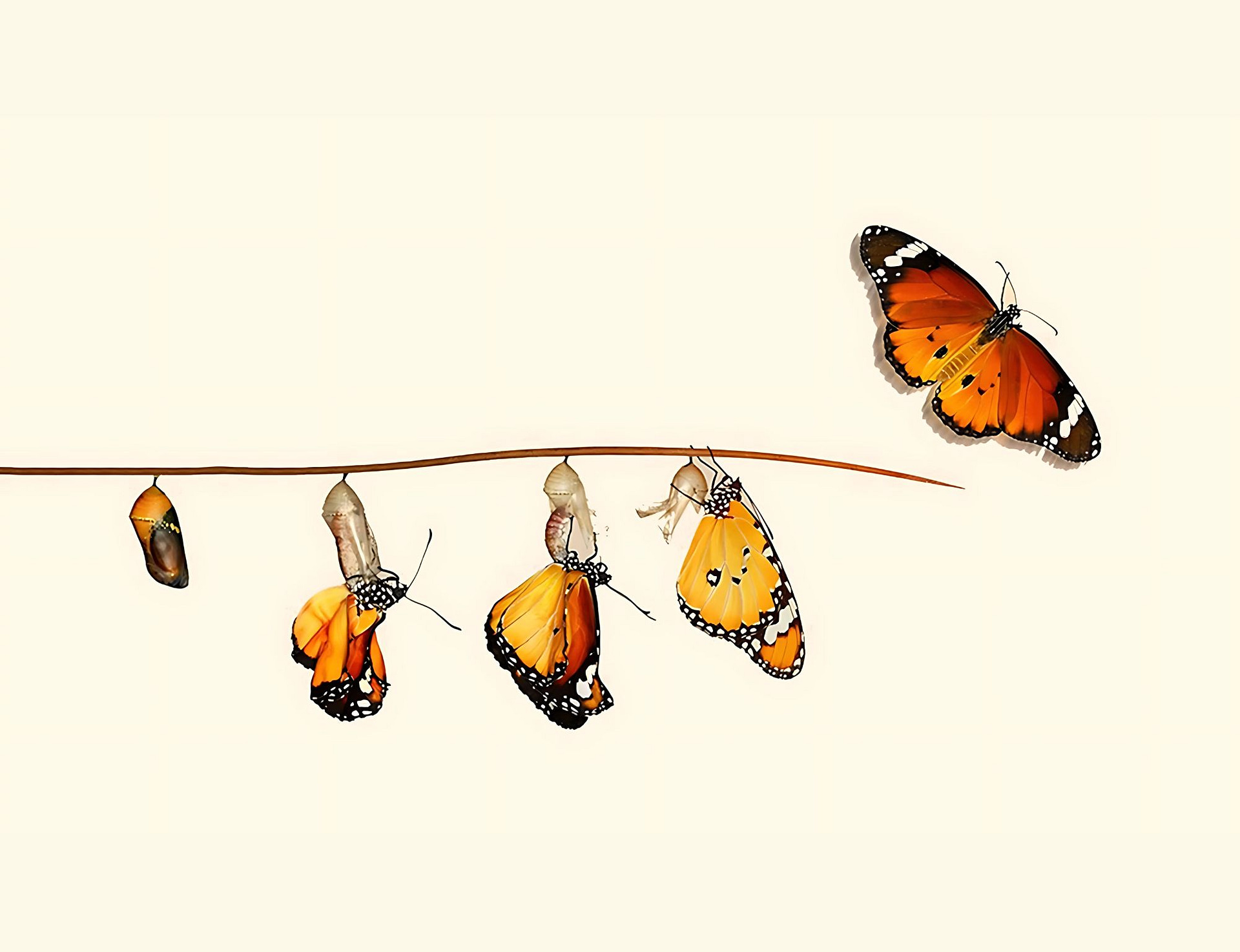 Drifting Cords review: Damilola Olaniyi Navigates Pleasure, Place, Memory, and Loneliness Drifting Cords review: Damilola Olaniyi Navigates Pleasure, Place, Memory, and Loneliness