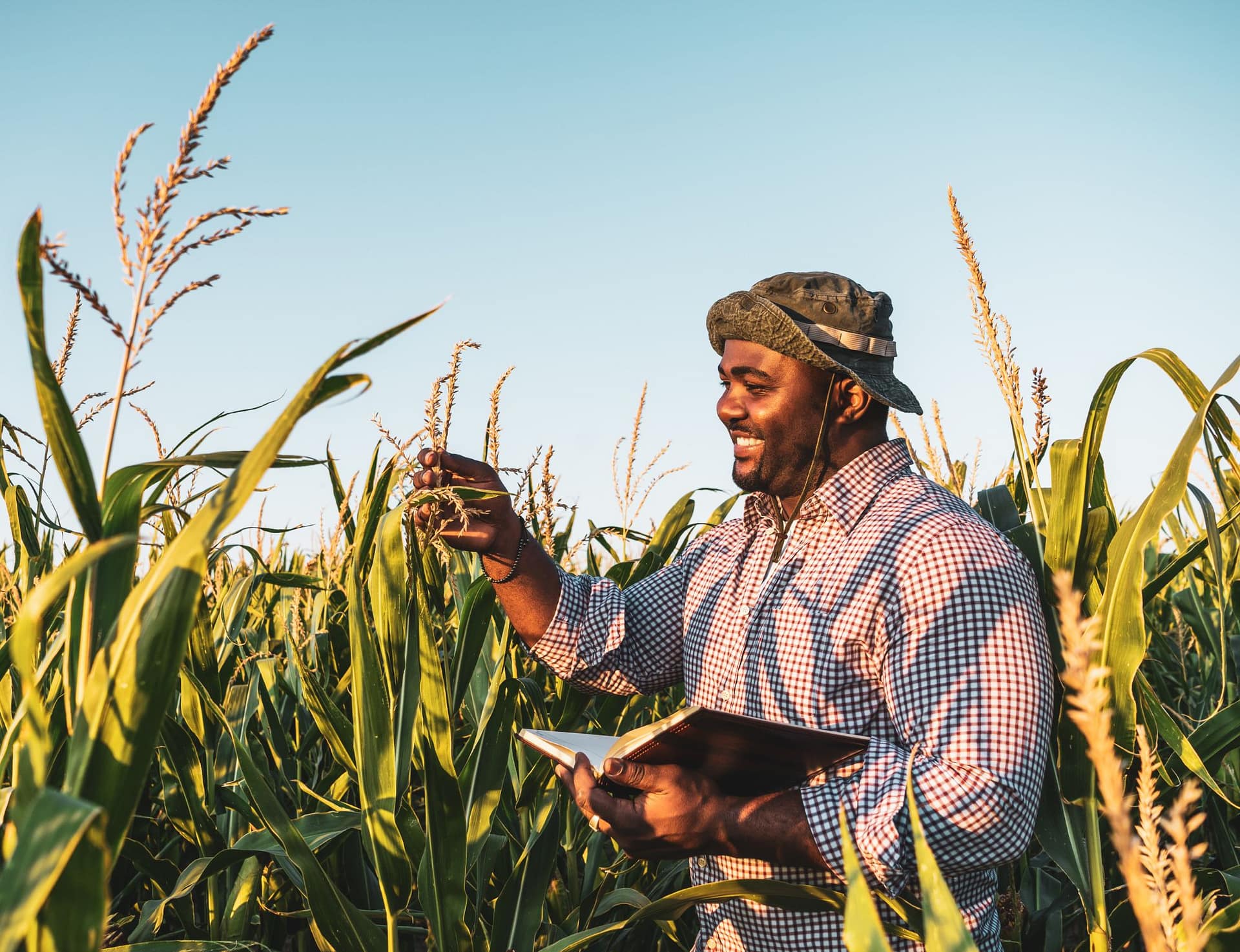 FamFarm is Using Smart Agritech Solutions to Empower Farmers FamFarm is Using Smart Agritech Solutions to Empower Farmers